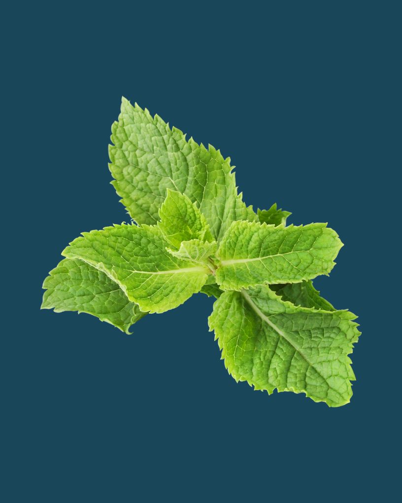 MISIONES BodyCare HANDS + FEET Balm