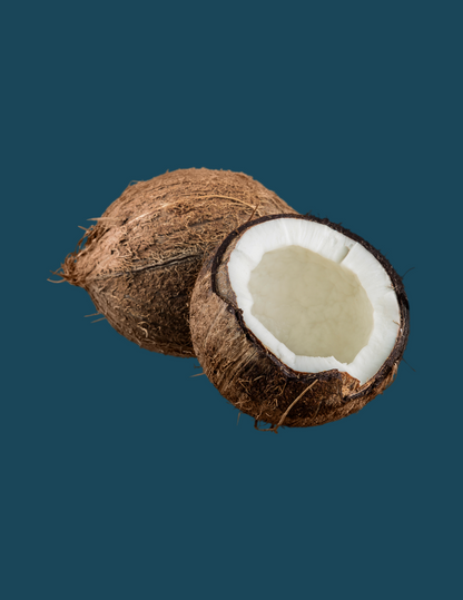 Ashe Shea Body Butter