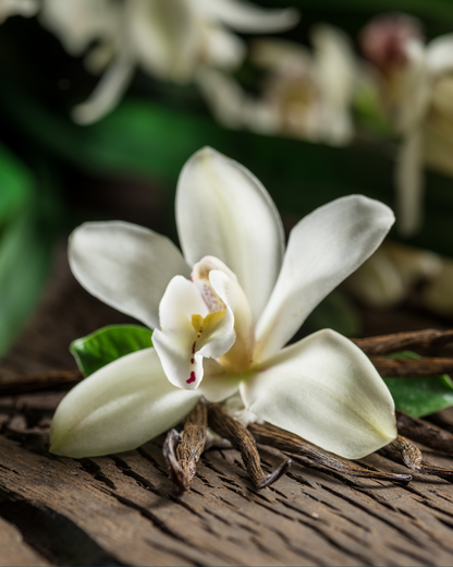 Misiones Mango Body Butter